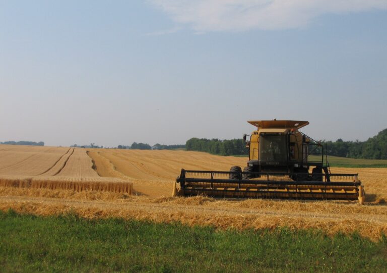Combine harvesting in a field.